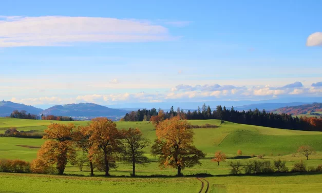 ✨ Savior: Becoming Truth Repentance Absolution Heaven Explained | Master Woo Myung | Santa Clara Meditation