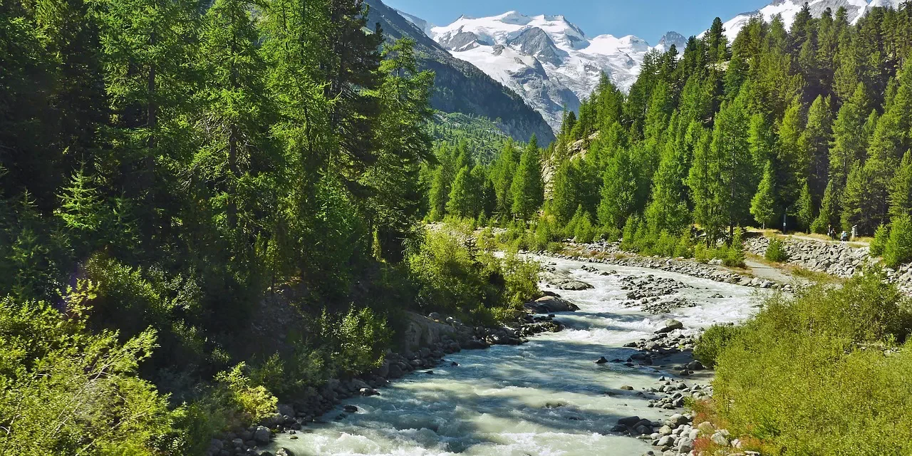 🌟 A Saint: Saint Enlightenment Truth No Self Karma Righteousness | Master Woo Myung | Santa Clara Meditation