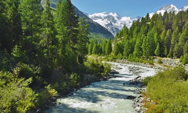 🌟 A Saint: Saint Enlightenment Truth No Self Karma Righteousness | Master Woo Myung | Santa Clara Meditation