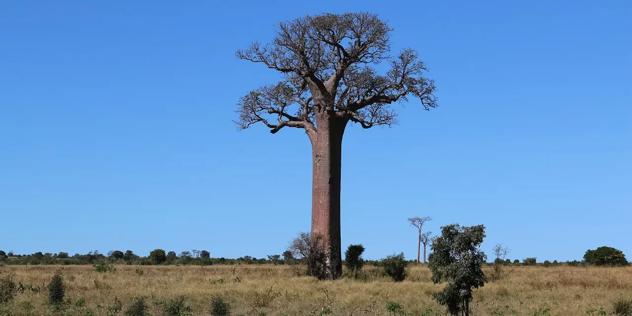 🌌 The Creator: Omnipotent Soul Omniscient Spirit and Eternal Truth of the Universe | Master Woo Myung | Santa Clara Meditation