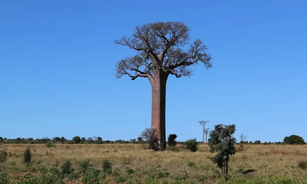 🌌 The Creator: Omnipotent Soul Omniscient Spirit and Eternal Truth of the Universe | Master Woo Myung | Santa Clara Meditation