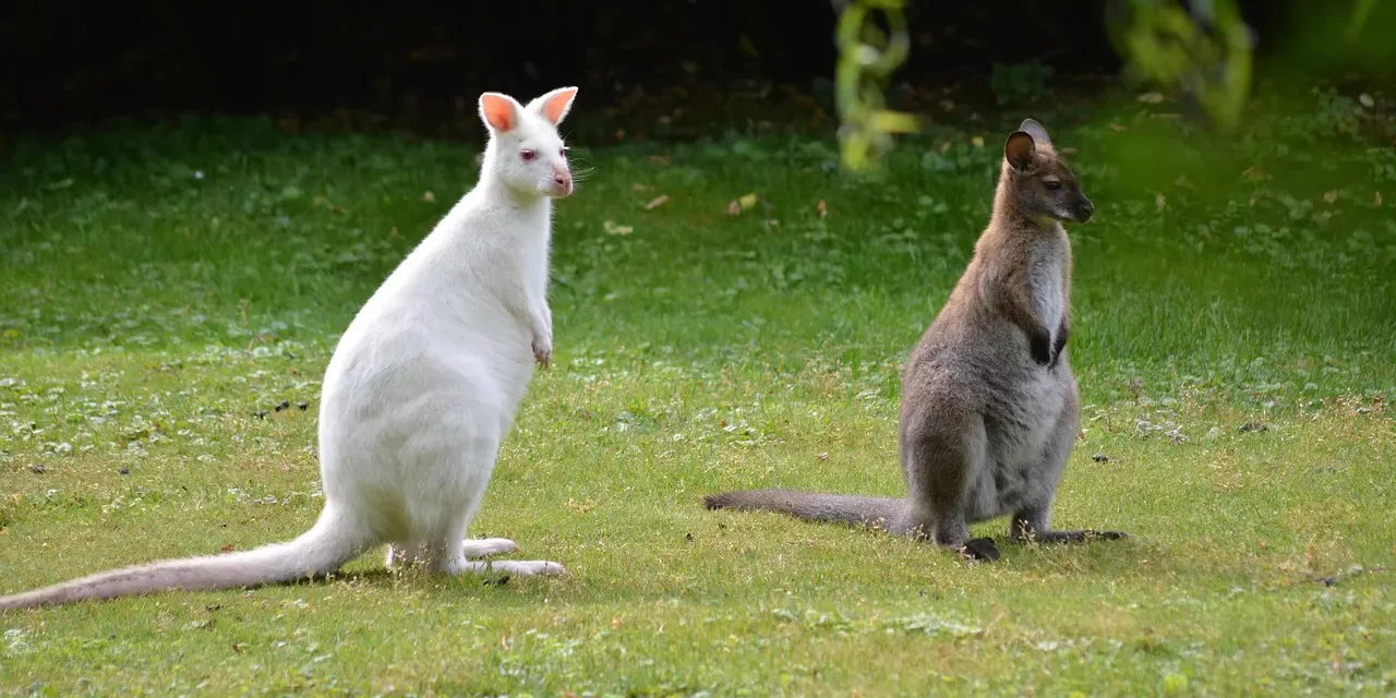 ❄️ Cryogenic Freezing and Eternal Life: Is It Against Nature’s Flow? | Master Woo Myung | Santa Clara Meditation