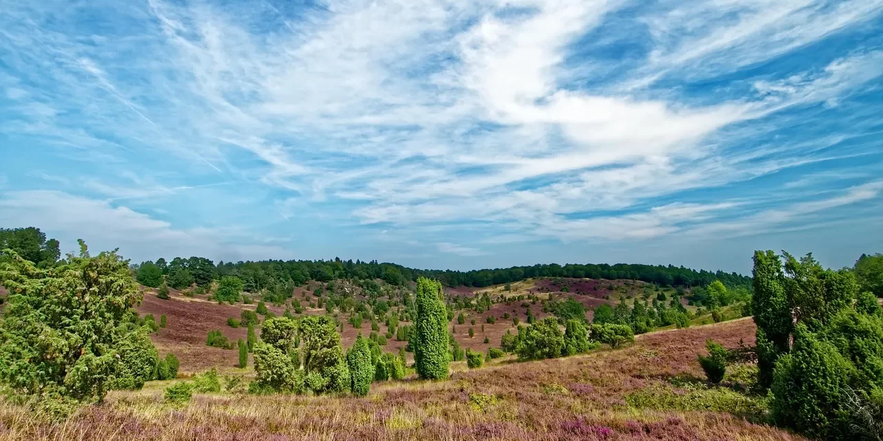 🔥 Abandon: Let Go of Attachments and Reach Enlightenment | Master Woo Myung | Santa Clara Meditation