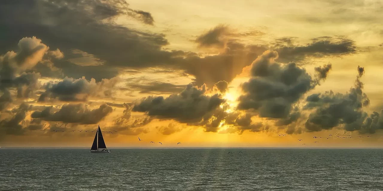 🌿 Is Euthanasia Right? Nature’s Flow, Suffering, and Accepting Death | Master Woo Myung | Santa Clara Meditation