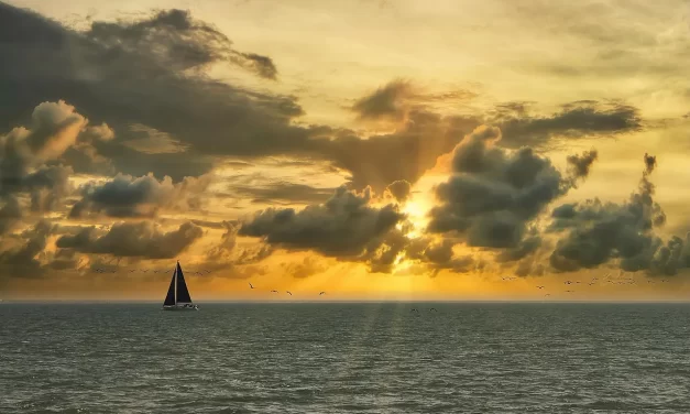 🌿 Is Euthanasia Right? Nature’s Flow, Suffering, and Accepting Death | Master Woo Myung | Santa Clara Meditation