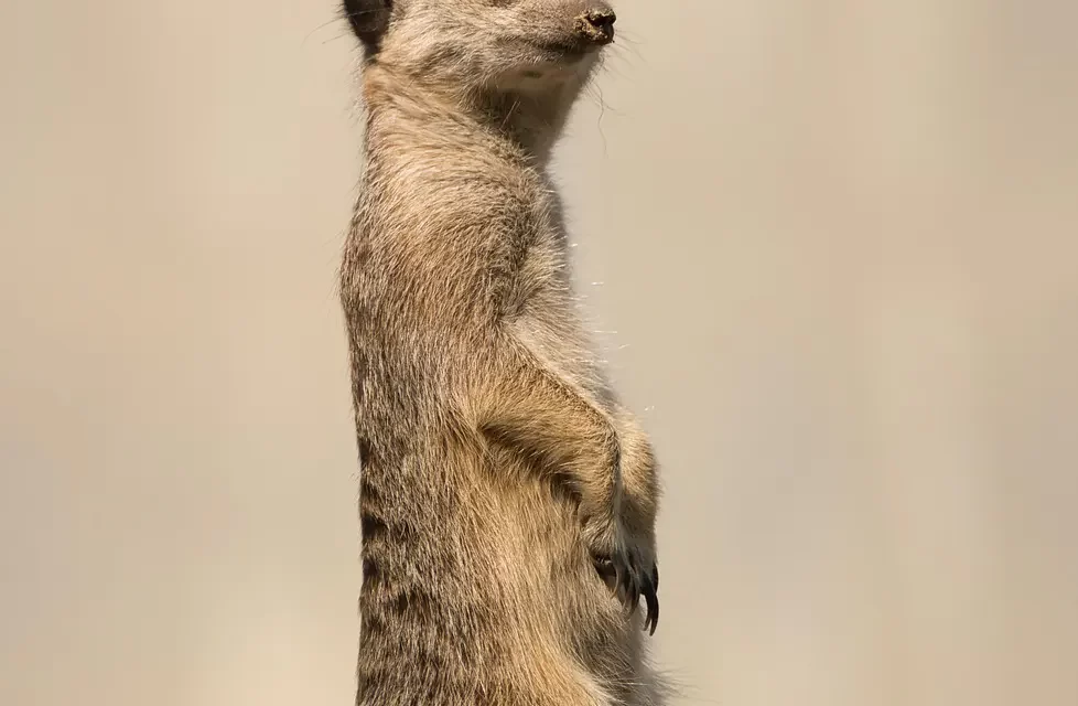 🌌 The Mind Born in the True World: Heaven Land of Bliss and Paradise | Master Woo Myung | Santa Clara Meditation