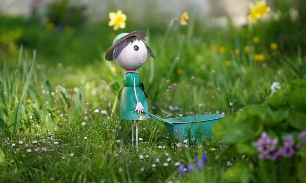 🎯 Reaching Your Goals Through Action and Sacrifice | Master Woo Myung | Santa Clara Meditation