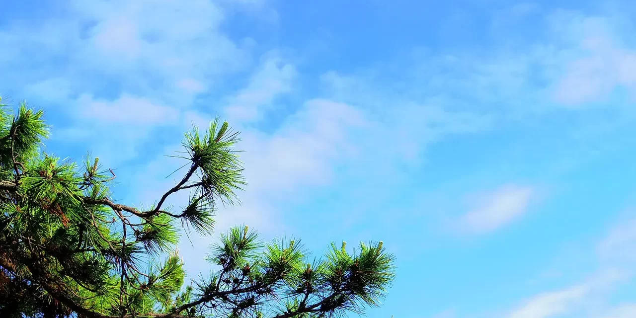 🌅 Advent: Existence Non-existence Yin Yang True Path | Master Woo Myung | Santa Clara Meditation