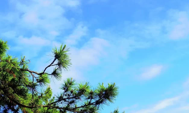 🌅 Advent: Existence Non-existence Yin Yang True Path | Master Woo Myung | Santa Clara Meditation