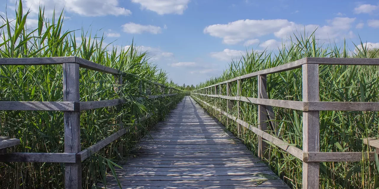 🌟 Eternal Life: Oneness of Life and Death and Finding the True Self | Master Woo Myung | Santa Clara Meditation
