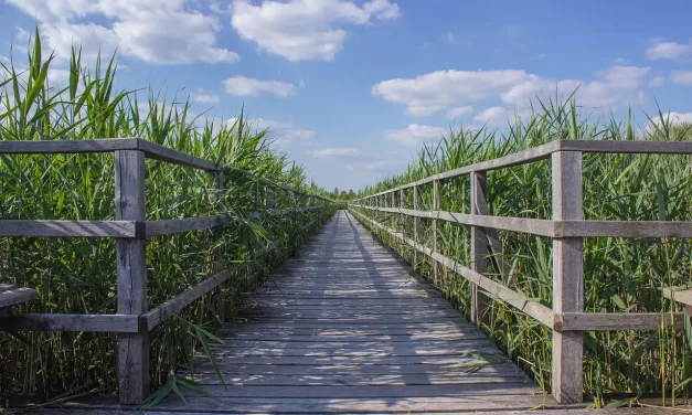 🌟 Eternal Life: Oneness of Life and Death and Finding the True Self | Master Woo Myung | Santa Clara Meditation
