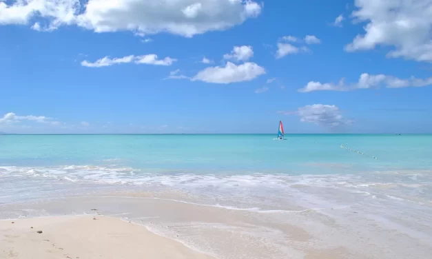 🌟 I Would Like to Learn More About Happiness, Self-Reflection, and the Ways of the World | Master Woo Myung | Santa Clara Meditation