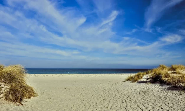 ✨ Why Is Man Great?: Discovering the True Self and Living a Life of Truth | Master Woo Myung | Santa Clara Meditation