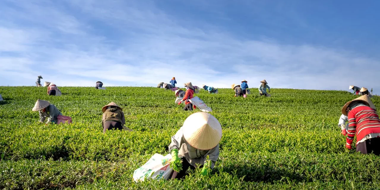 💼 Getting a Good Job: Dedication, Character, and True Success at Work | Master Woo Myung | Santa Clara Meditation