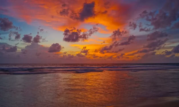 🌿 Kleshas: Living with Attachment and the Path to Freedom | Master Woo Myung | Santa Clara Meditation