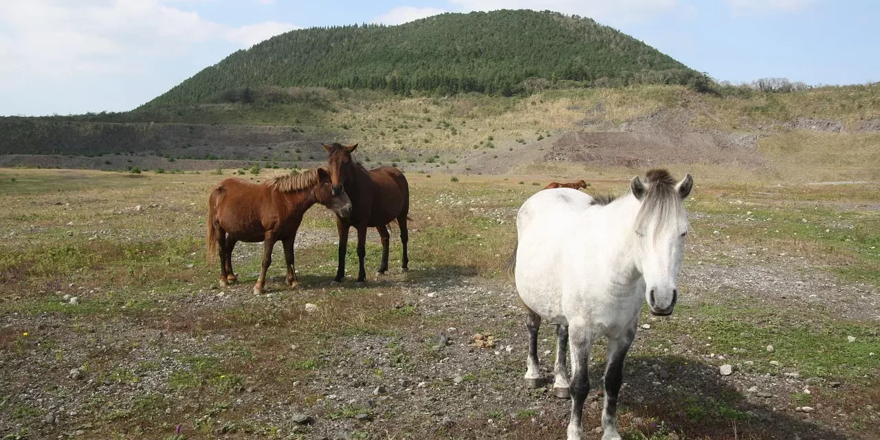 🌌 The Origin of the Infinite Universe Is the Energy and Light of Truth and You Must Be Reborn as It to Live | Master Woo Myung | Santa Clara Meditation