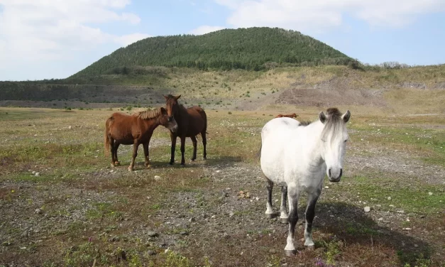 🌌 The Origin of the Infinite Universe Is the Energy and Light of Truth and You Must Be Reborn as It to Live | Master Woo Myung | Santa Clara Meditation