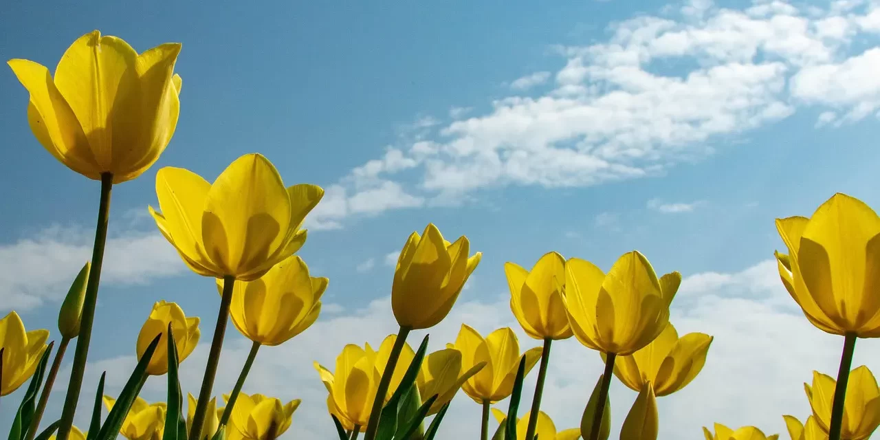 🌱 How Should We Educate Our Children?: Eliminate the Self and Teach Sacrifice for True Success | Master Woo Myung | Santa Clara Meditation