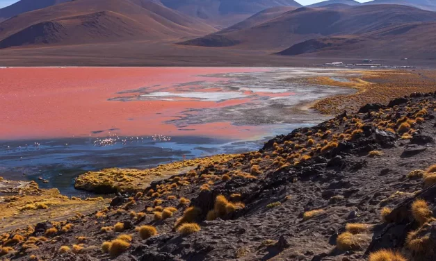 🌟 The True Mind: Soul and Spirit of Truth and Eternal Life Without Death | Master Woo Myung | Santa Clara Meditation