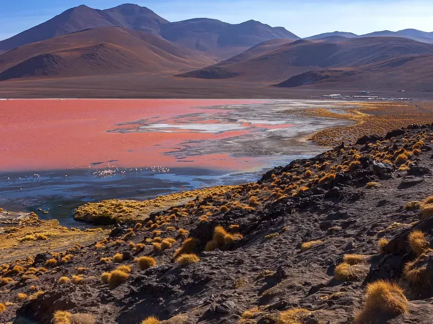 🌟 The True Mind: Soul and Spirit of Truth and Eternal Life Without Death | Master Woo Myung | Santa Clara Meditation