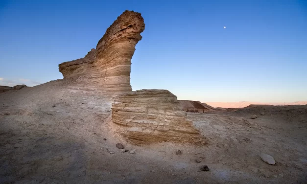 🌍 How Can We Settle the Conflict Between Israel and the Arabian States? | Master Woo Myung | Santa Clara Meditation