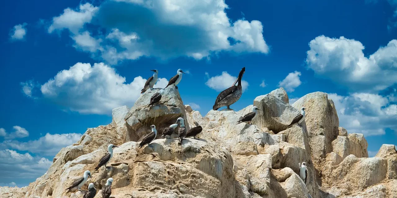 🌏 Heaven and Earth: The Complete World Within the Mind | Master Woo Myung | Santa Clara Meditation