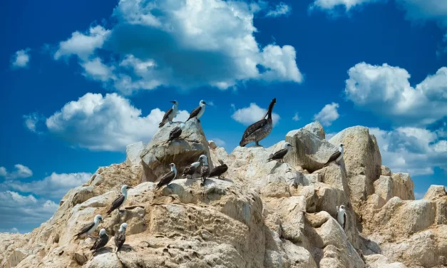 🌏 Heaven and Earth: The Complete World Within the Mind | Master Woo Myung | Santa Clara Meditation