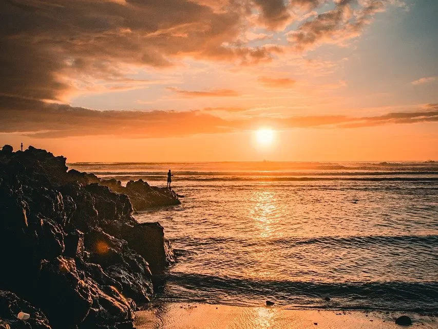 🌿 To Live As It Is and to Simply Be: Living as Truth Freedom Land of Heaven | Master Woo Myung | Santa Clara Meditation