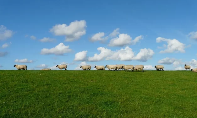 🌿 The Great Path: Existence Non-Existence Yin Yang Life Death Truth | Master Woo Myung | Santa Clara Meditation