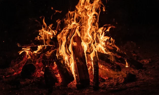 🌿 To Be Frustrated: True Mind Anxiety Human Desire Inner Peace | Master Woo Myung | Santa Clara Meditation