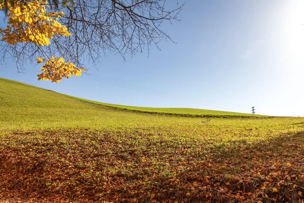 Master Woo Myung discrimination oneness meditation teaching