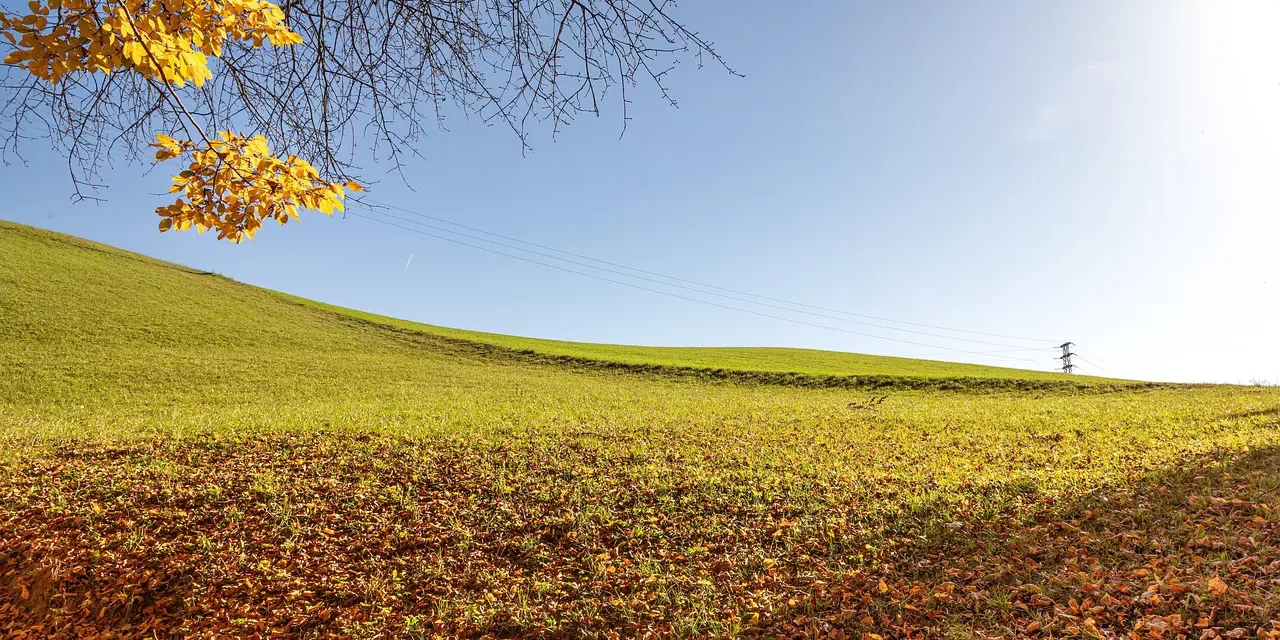 🌍 Discrimination II: Oneness Existence Non Existence Awareness Truth | Master Woo Myung | Santa Clara Meditation