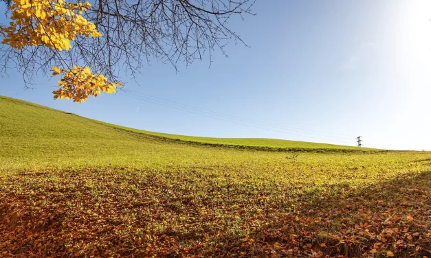 🌍 Discrimination II: Oneness Existence Non Existence Awareness Truth | Master Woo Myung | Santa Clara Meditation