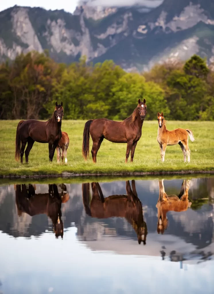 Master Woo Myung meditation eliminate self enlightenment teaching