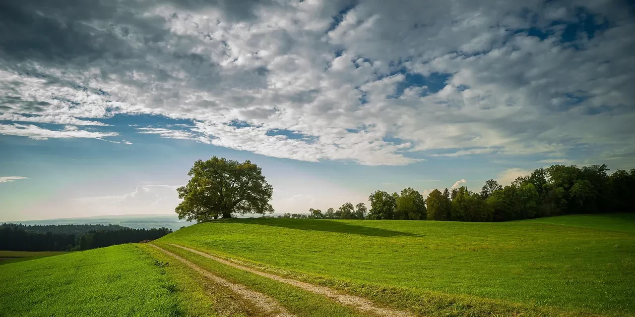 🌟 Falseness III: Universe Truth Light and the Illusion of the World | Master Woo Myung | Santa Clara Meditation