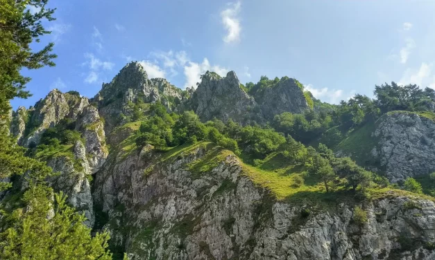 🌿 Everything Exists Because It Exists in the Mind: Understanding Reality | Master Woo Myung | Santa Clara Meditation