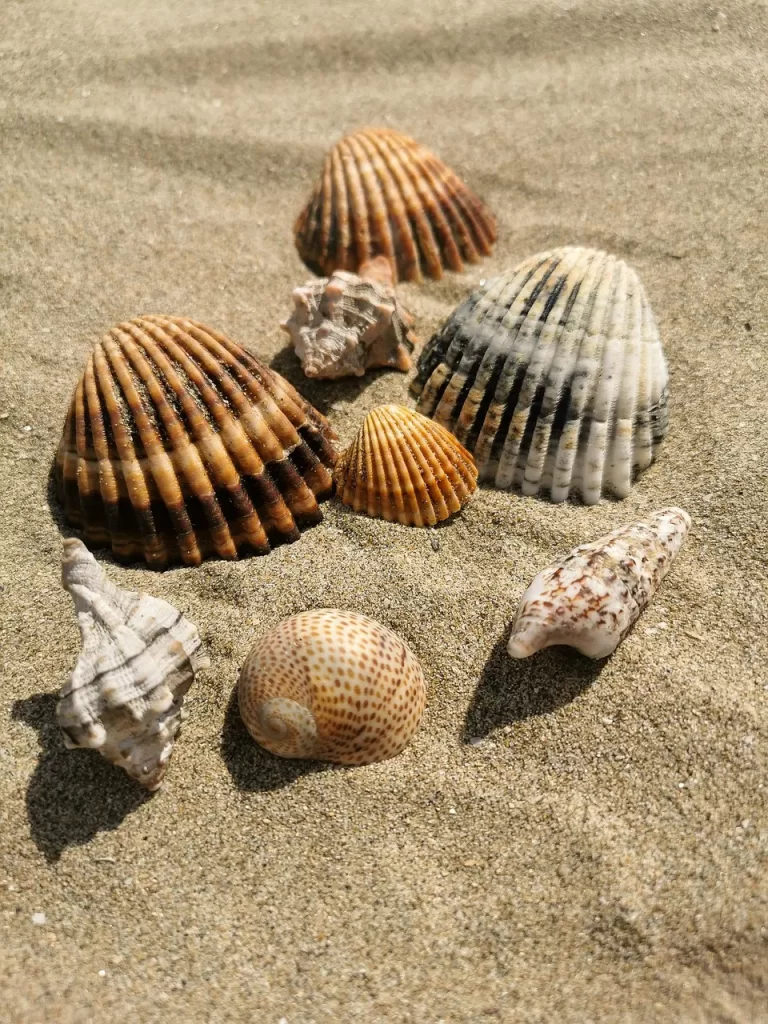 Master Woo Myung teaching true meaning of faith becoming one with truth