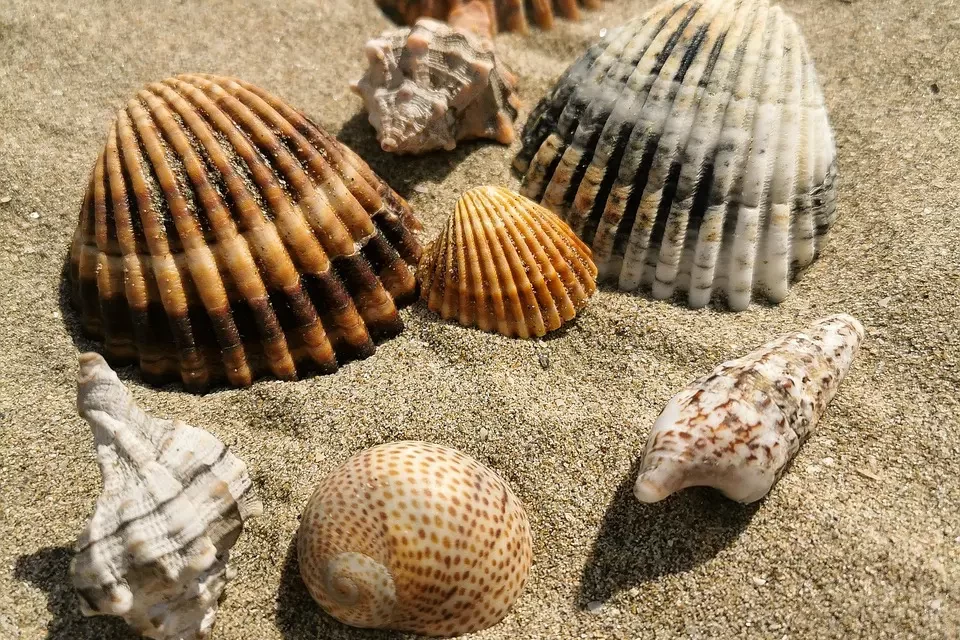 🙏 THE TRUE MEANING OF FAITH BECOMING ONE WITH TRUTH | Master Woo Myung | Santa Clara Meditation