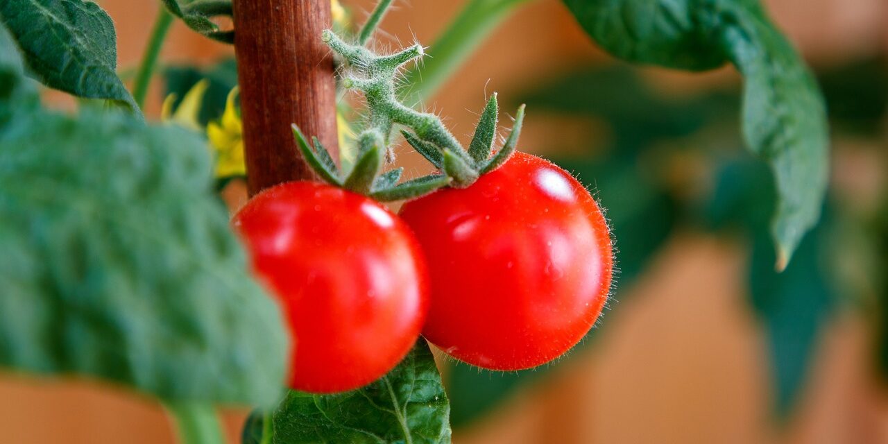 🕊️ Heaven Is Within: Entering the Infinite Universe and True Self | Master Woo Myung | Santa Clara Meditation