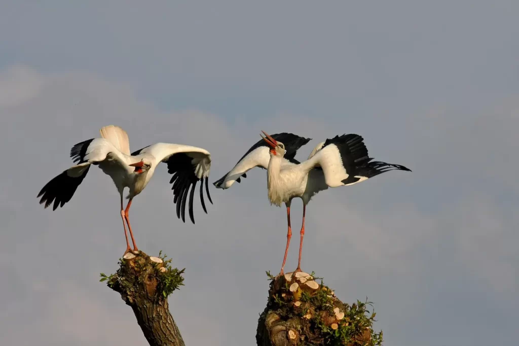 Master Woo Myung teaching on ghost marriages souls attachment regret and spiritual ineffectiveness
