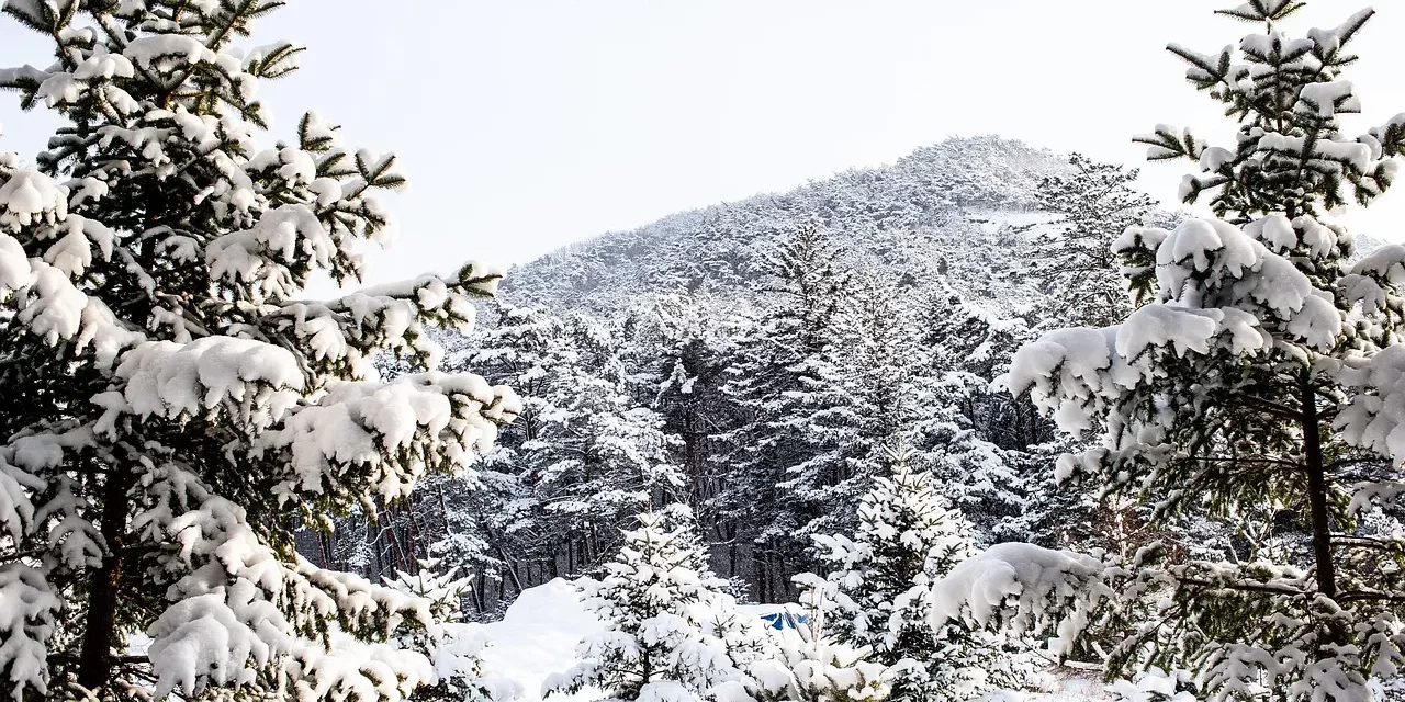 🌙 My Will: Teaching Truth Awakening Humanity and the Journey of Enlightenment | Master Woo Myung | Santa Clara Meditation