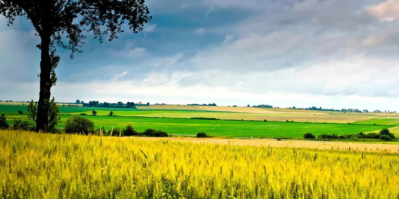 📘 Education for Human Completion: Truth Jeon-in Perfect Person and Becoming the Universe | Master Woo Myung | Santa Clara Meditation