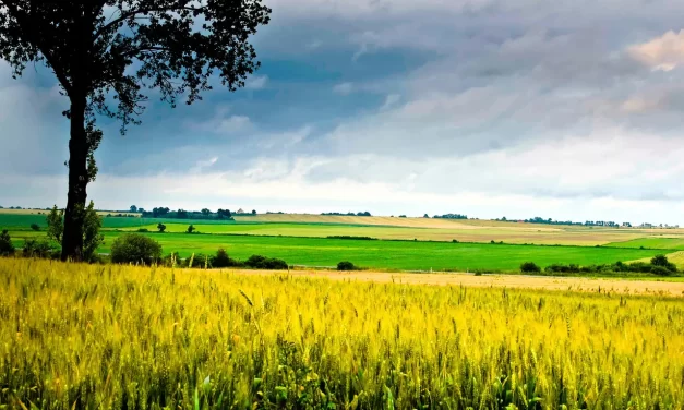 📘 Education for Human Completion: Truth Jeon-in Perfect Person and Becoming the Universe | Master Woo Myung | Santa Clara Meditation