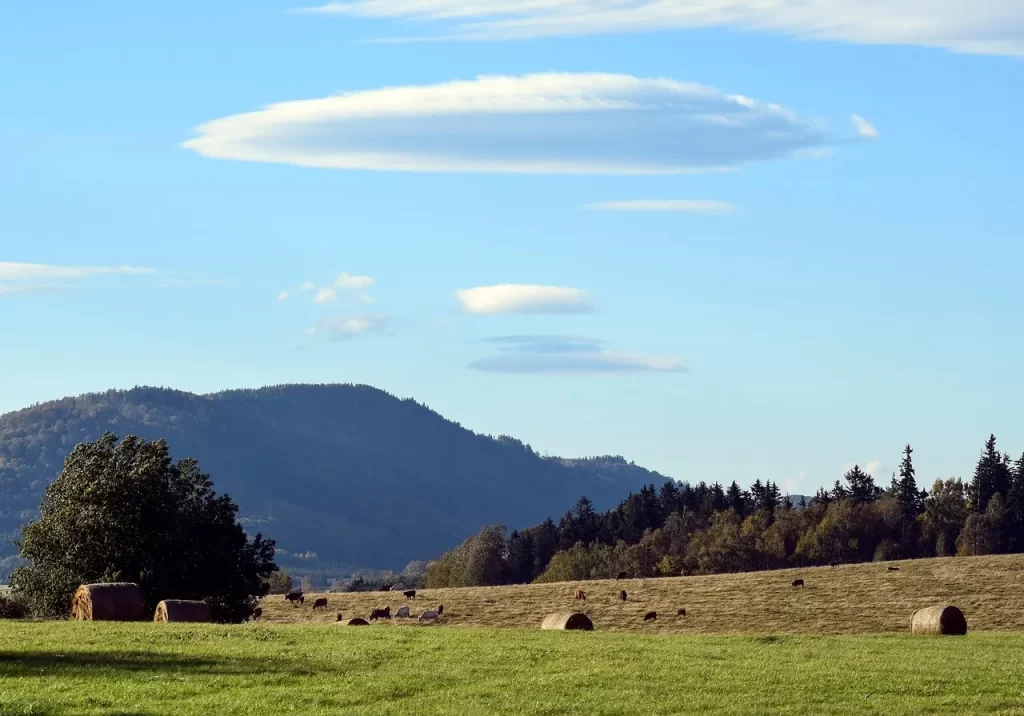 Master Woo Myung teaching on The Origin II existence enlightenment and true origin