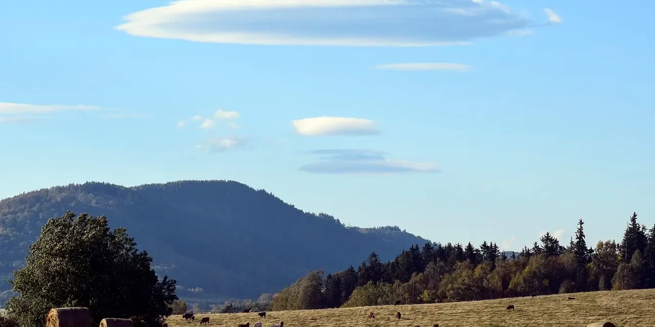 🌟 The Origin II: Existence Enlightenment and the True Origin | Master Woo Myung | Santa Clara Meditation