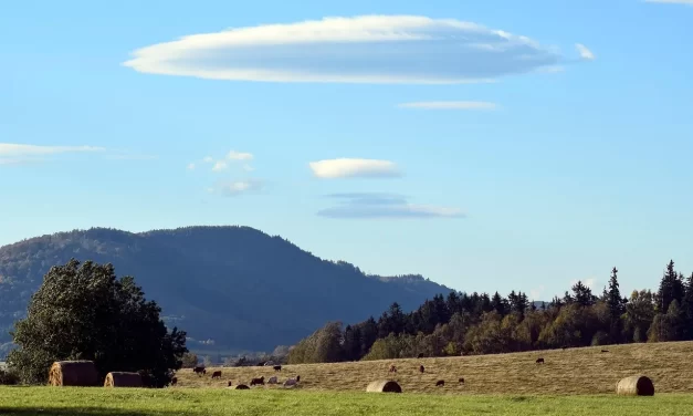 🌟 The Origin II: Existence Enlightenment and the True Origin | Master Woo Myung | Santa Clara Meditation