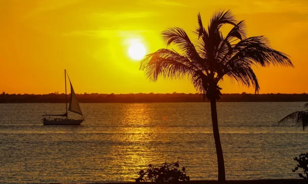 🌿 Living a False Life: From Illusion to Truth and Inner Awakening | Master Woo Myung | Santa Clara Meditation