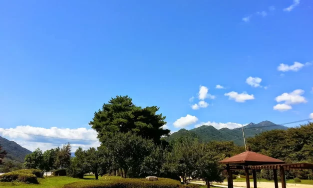 🌙 In the Land of Reality: Beyond Dreams and Illusions | Master Woo Myung | Santa Clara Meditation