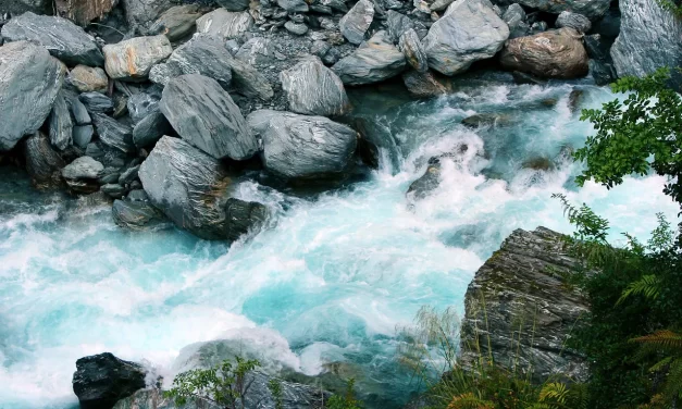 🌍 WHEN YOU BECOME TRUTH ONENESS NO SELF AND LIFE IN HEAVEN EXPLAINED | Master Woo Myung | Santa Clara Meditation