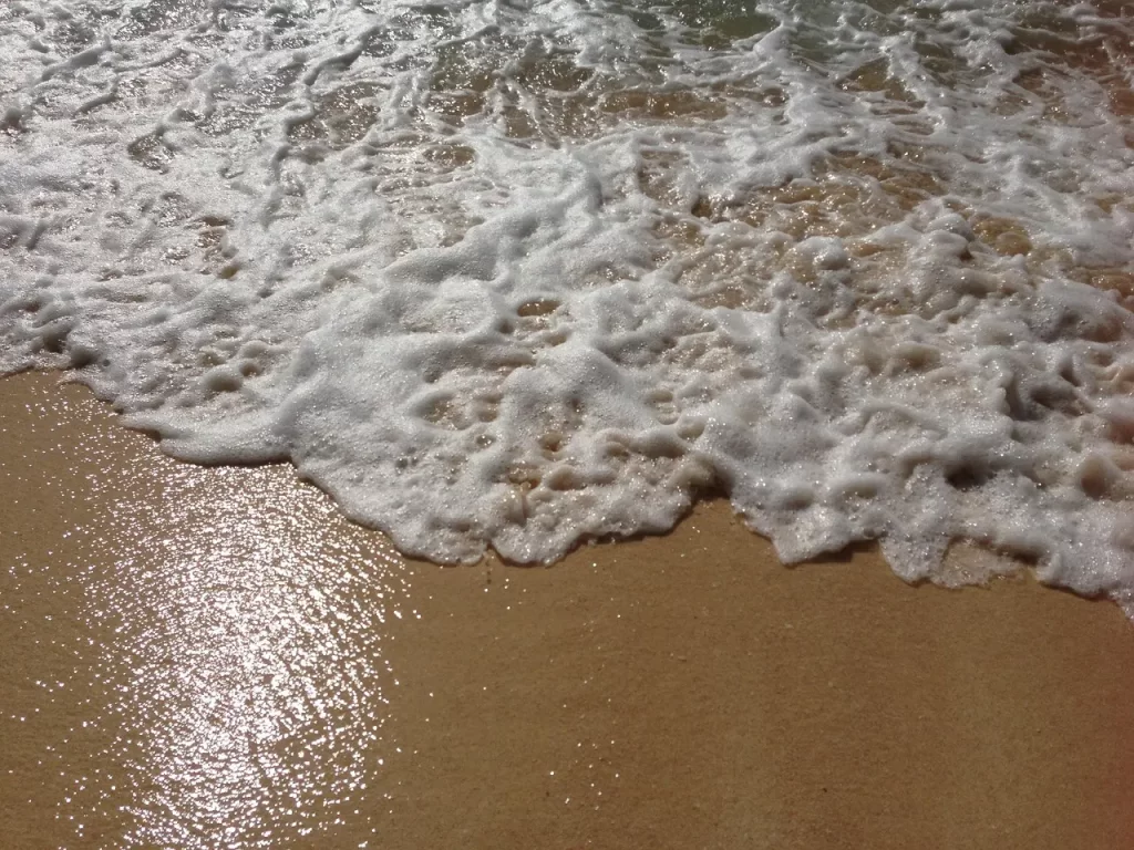 Master Woo Myung teaching on becoming truth oneness nature wisdom